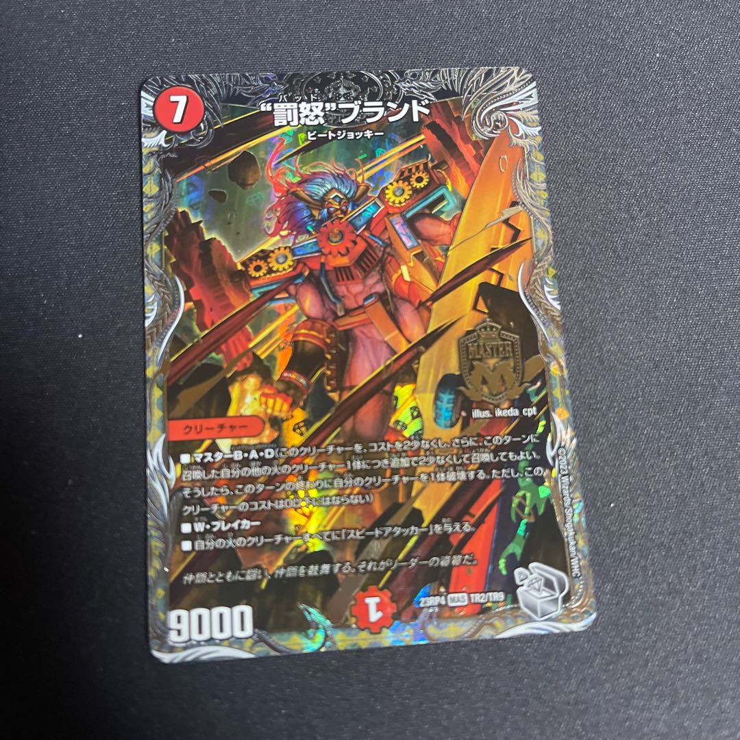 Punishment brand (Silver Treasure) MAS TR2/TR9