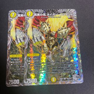 The True Name Tiger Legend (Silver Treasure) VR TR9/TR10