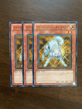 ライトロード・ハンター ライコウ ノーマル JP007