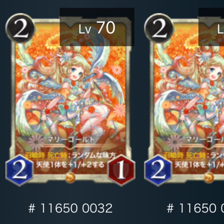 【2枚】マリーゴールド