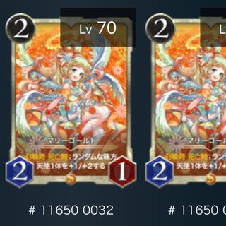 【2枚】マリーゴールド