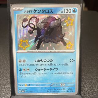 Pardea Tauros S 223/190