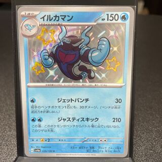 Dolphin Man S 229/190