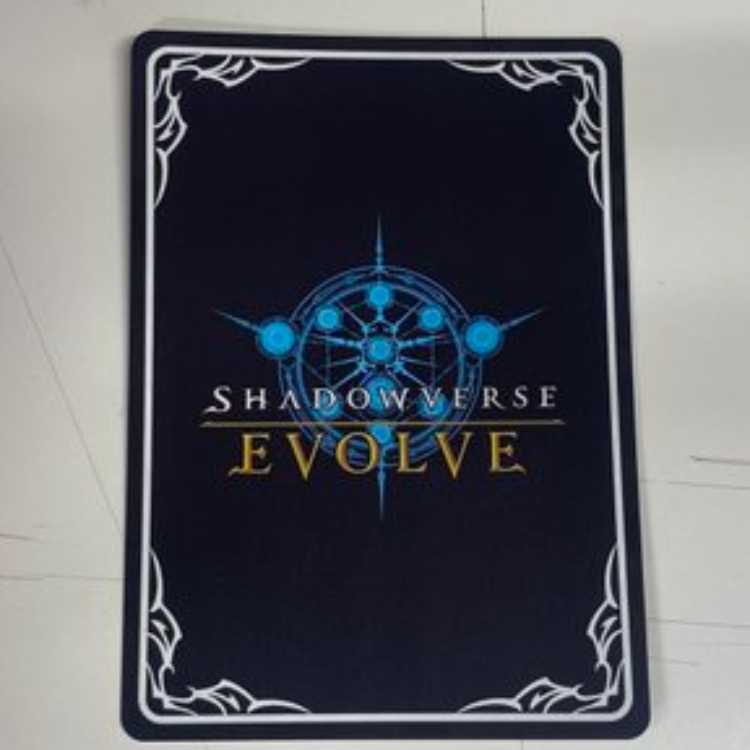 アグネスタキオン サイン CP01-SP08 管理02