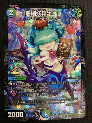 Coral Fairy Kiuri C P70/Y19