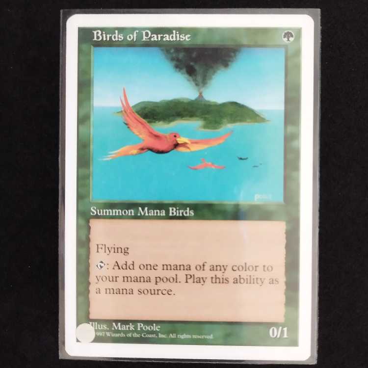 Birds of Paradise 1枚