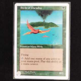 Birds of Paradise 1枚
