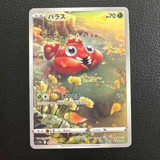 Paras AR[s12a 207/172].