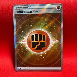 基本闘エネルギー SR 256/172