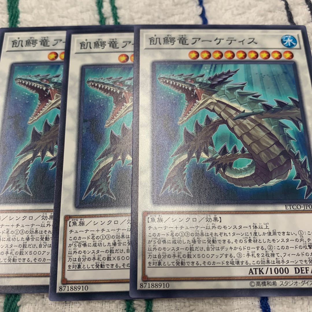 飢鰐竜アーケティス