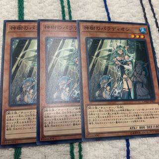 神樹のパラディオン