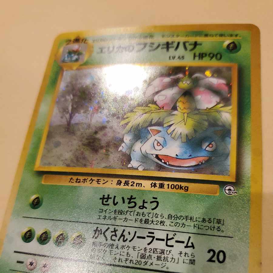 Erika's Venusaur