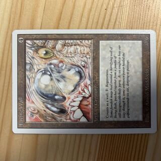 英語《Living Wall》[3ED] 茶U