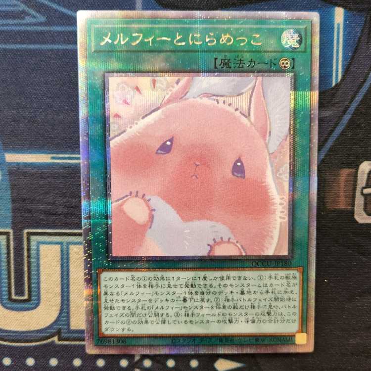 Staring with Melfi QCSE QCCU-JP180 Management 01