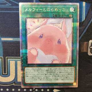 Staring with Melfi QCSE QCCU-JP180 Management 01