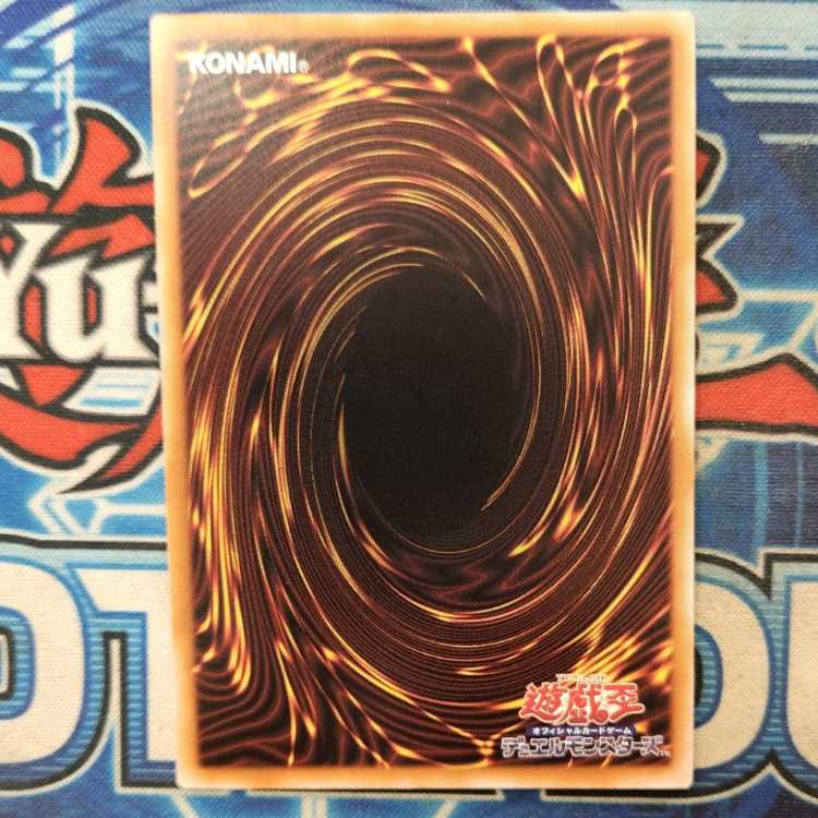 Melffy Catty QCSE QCCU-JP172 Management 01