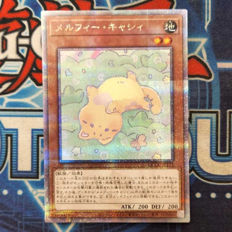 Melffy Catty QCSE QCCU-JP172 Management 01