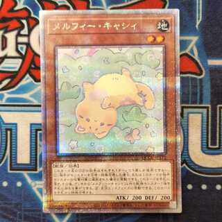 メルフィー・キャシィ QCSE QCCU-JP172 管理01