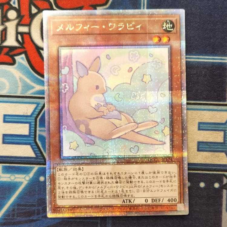 Melfi Wallaby QCSE QCCU-JP174 Management 01