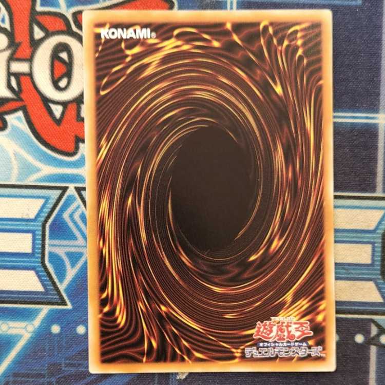 Melfi Wallaby QCSE QCCU-JP174 Management 01