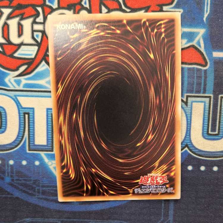 Borreload Savage Dragon QSE JP034 Management 01