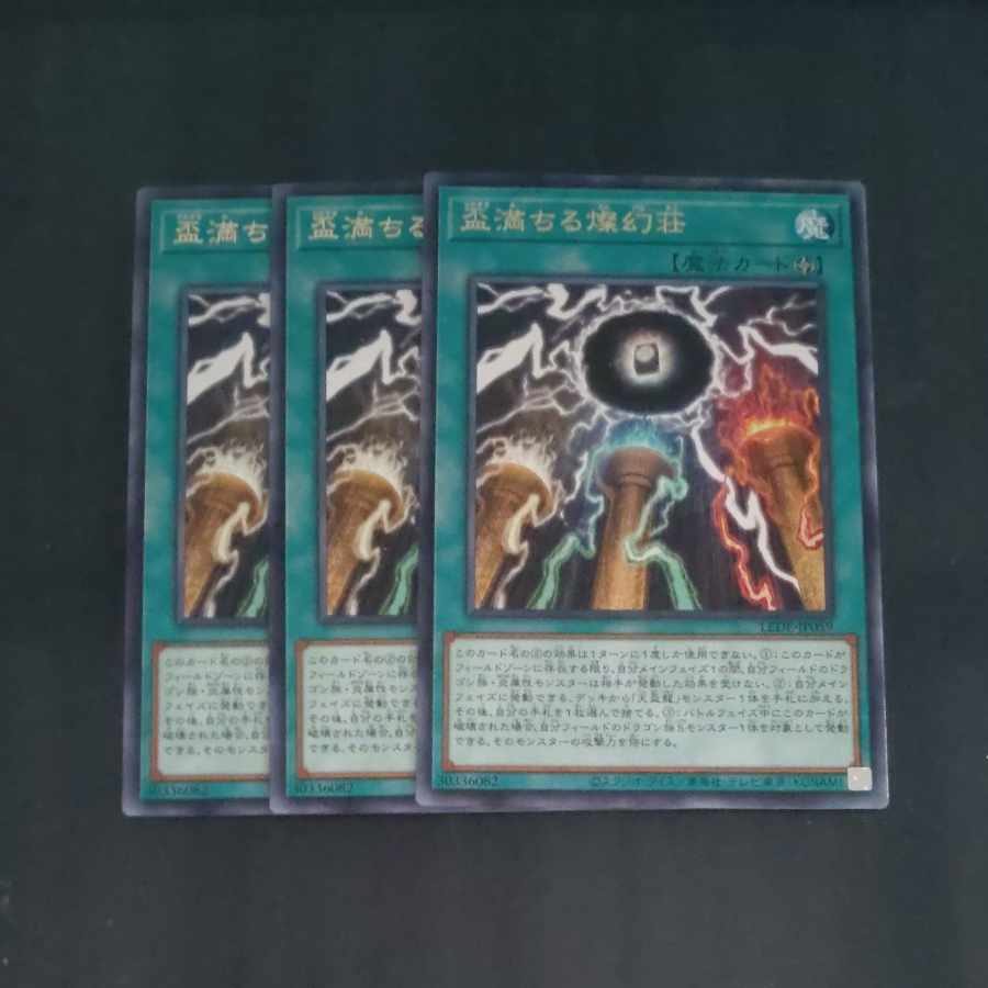 Sake Filling Brilliant Villa Rare LEDE-JP059✕3 [Mokurindo].