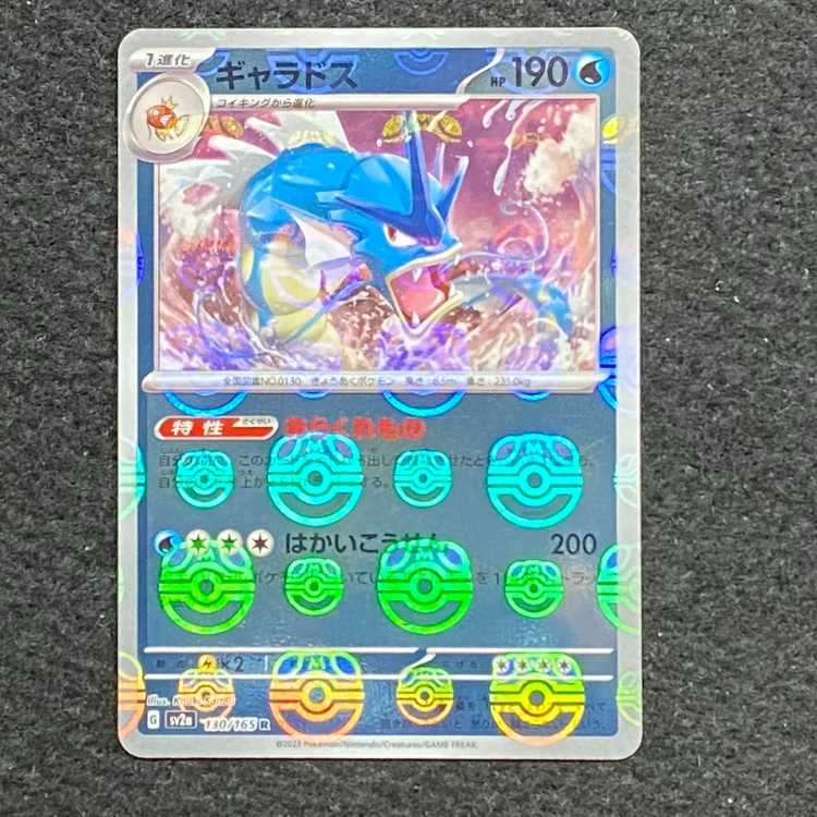 Gyarados (Master Ball pattern/mirror spec.) R 130/165