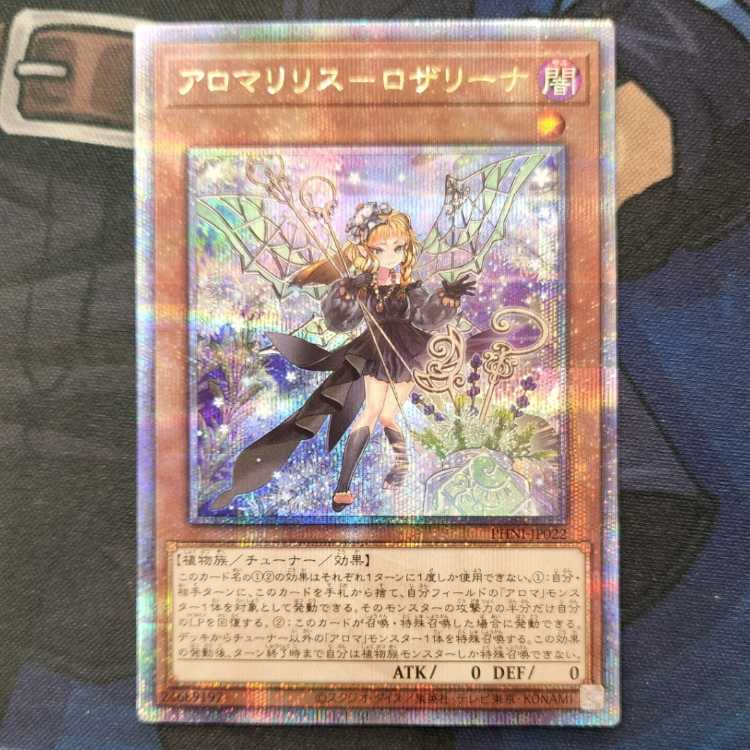 Alomari Squirrel-Rosalina QCSE PHNI-JP022 Management 01