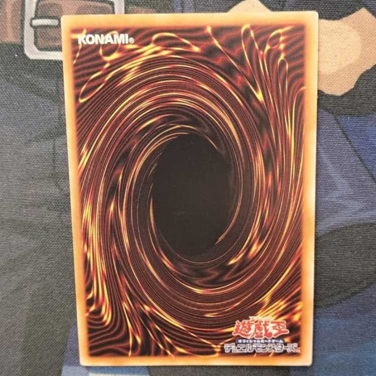 Alomari Squirrel-Rosalina QCSE PHNI-JP022 Management 01