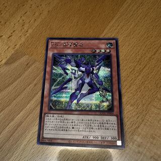 ZS-Consecrate Sage Secret Rare QCCU-JP064