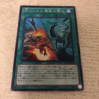 妨げられた壊獣の眠り