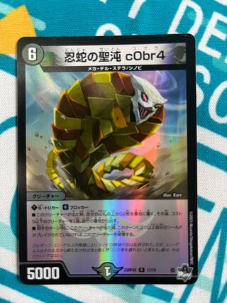 忍蛇の聖沌 c0br4 R 17/74