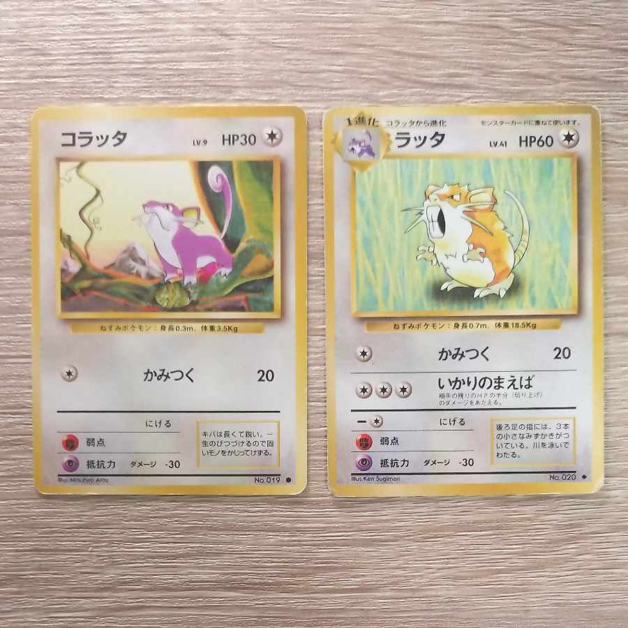 Rattata/Raticate Pokémon card old backside