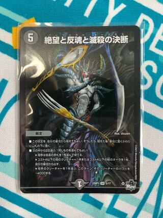 Despair, Anti-Soul and Annihilate Decision SR 5/17