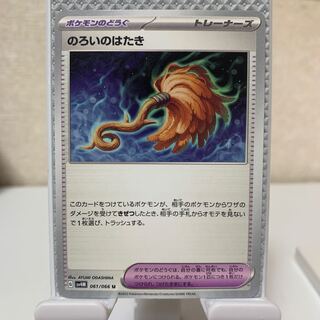 Flap of the curse U 061/066