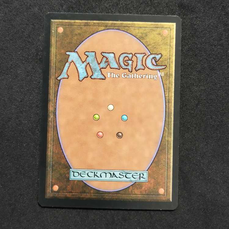 Freewind Falcon 1枚