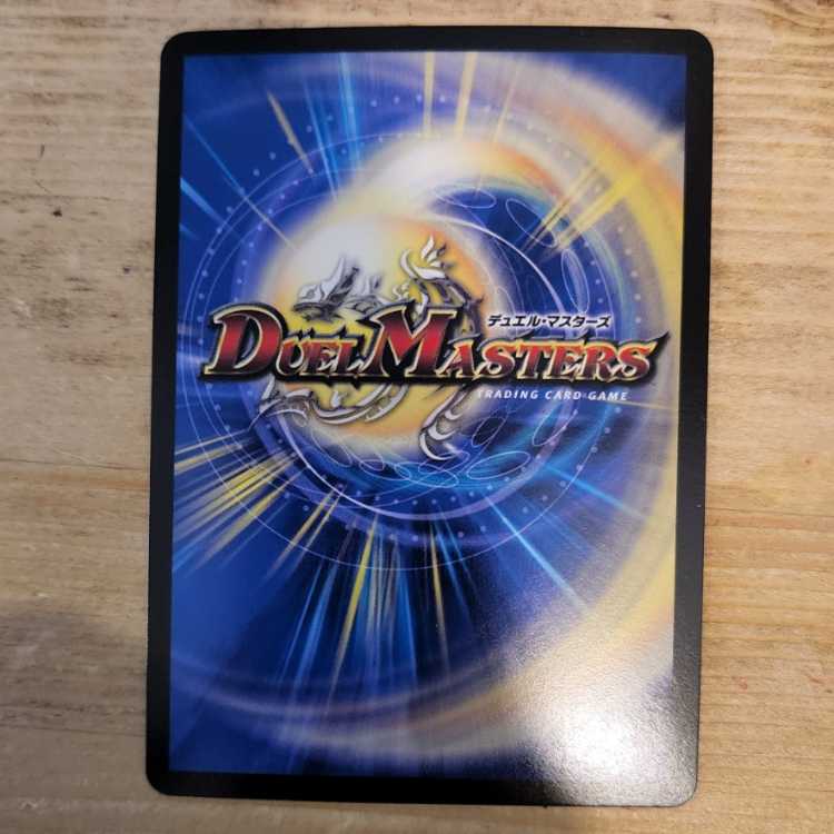 切札勝太&カツキング -熱血の物語- DSR 1/14 　管理03