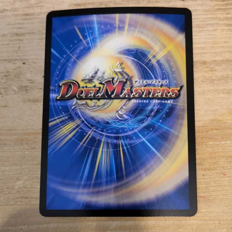 Artel Gorgini SR S3/S8 Management 03