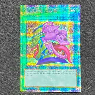 Pot of Desires QSE JP057