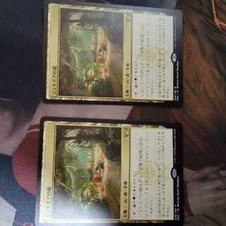 MtG Garden of Jethmia, set of 2
