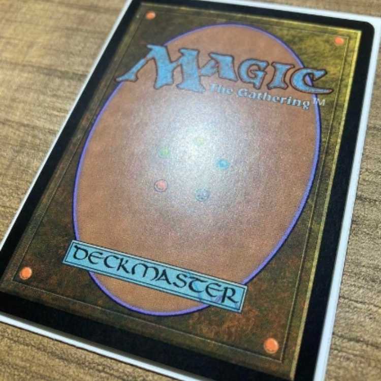 MTG Windswept heath/吹きさらしの荒野 オンスロート ギャザ