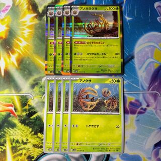 Anophora rugosa Anoxa(250)