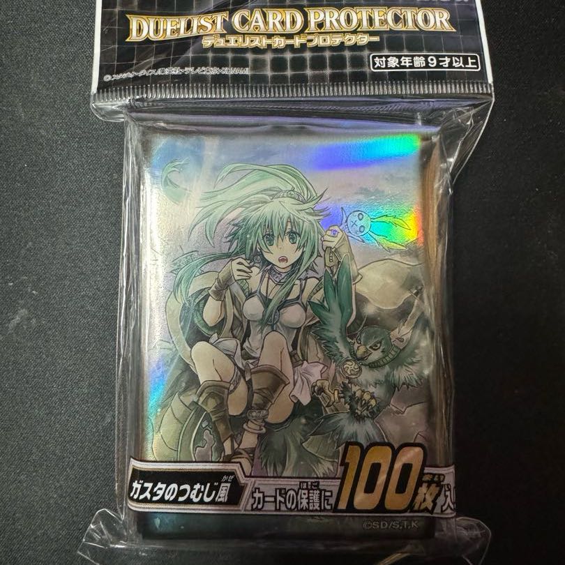 Sleeve Whirlwind of Gusto Protekter