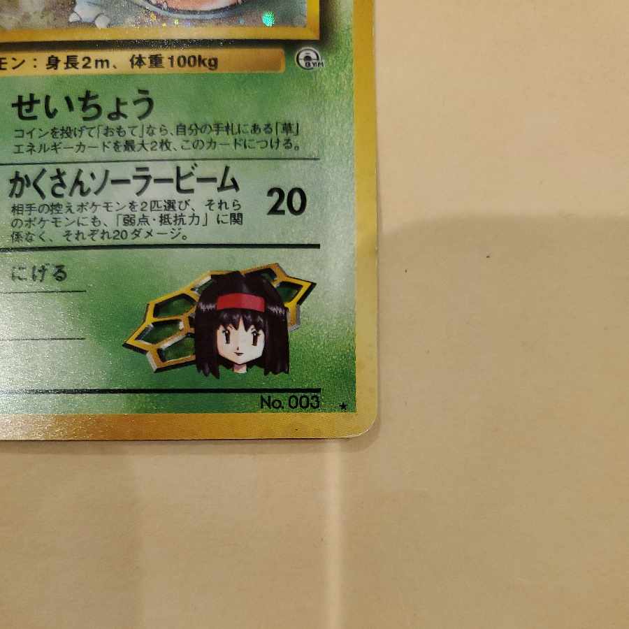 Erika's Venusaur Erika's Bulbasaur Erika's Ivysaur Old Back