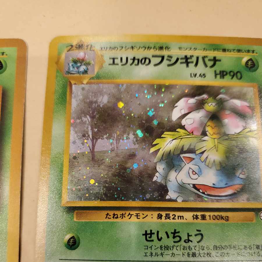 Erika's Venusaur Erika's Bulbasaur Erika's Ivysaur Old Back