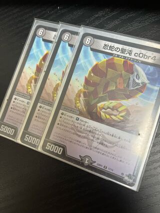 忍蛇の聖沌 c0br4 R 17/74 3枚