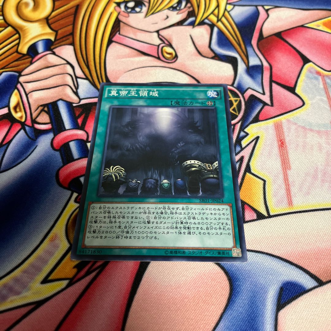 真帝王領域 ノーマル JP024 1枚
