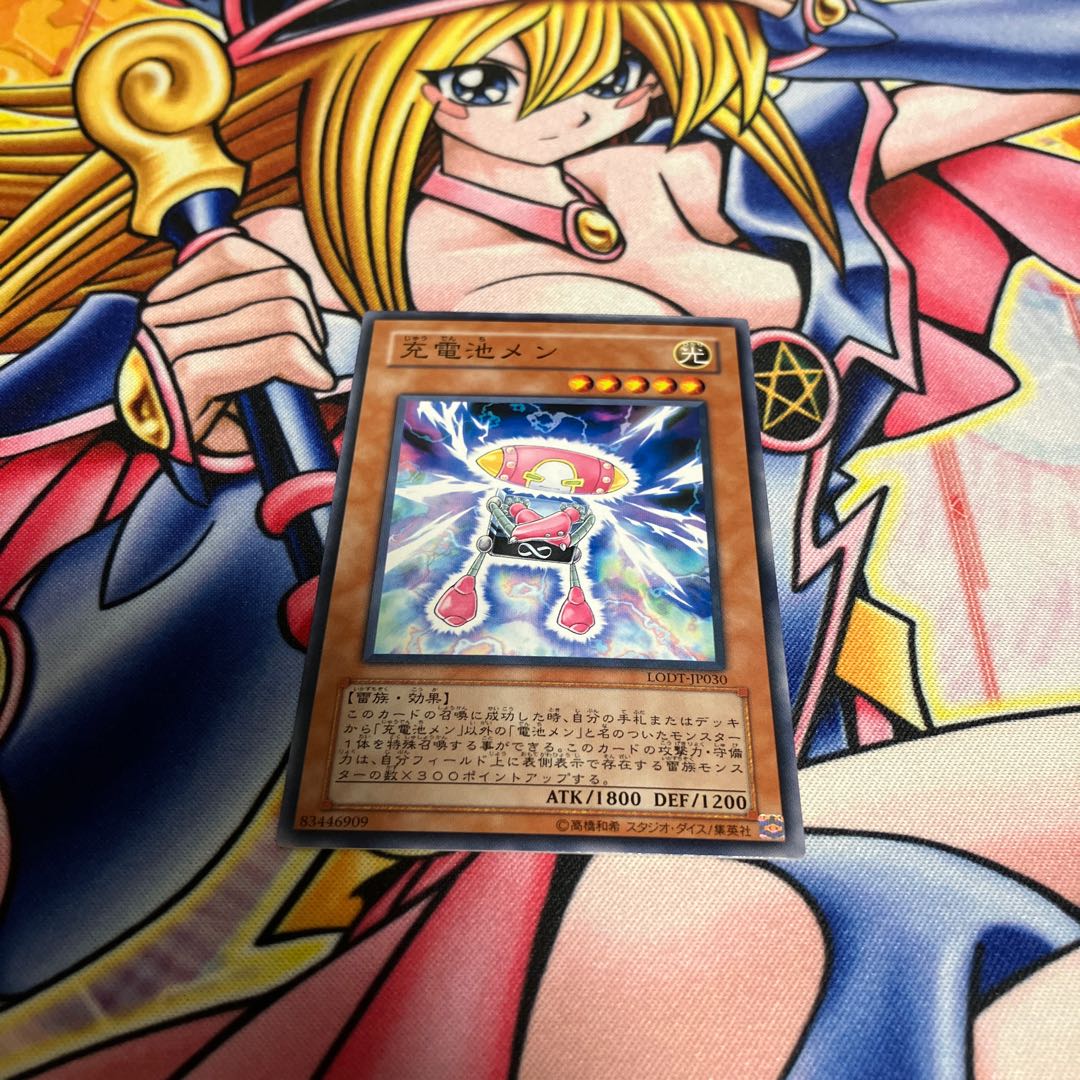 Batteryman Charger Normal JP030