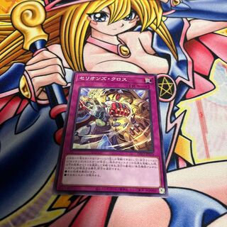 セリオンズ・クロス ノーマル JP070