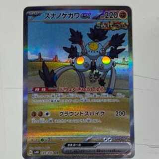 スナノケガワex SAR 089/066　管理02